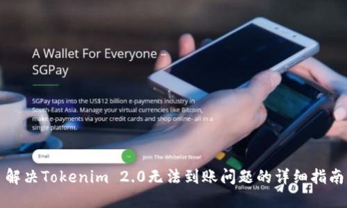 解决Tokenim 2.0无法到账问题的详细指南