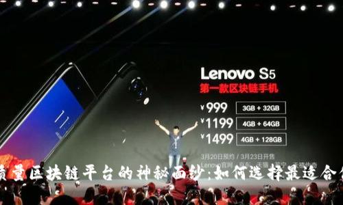 揭开高质量区块链平台的神秘面纱：如何选择最适合你的平台