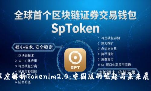 深度解析Tokenim2.0：中国版的崛起与未来展望