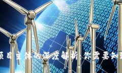 区块链项目主体的深度解析：你需要知道的一切