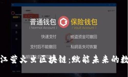 探秘浙江萤火虫区块链：赋能未来的数字生态