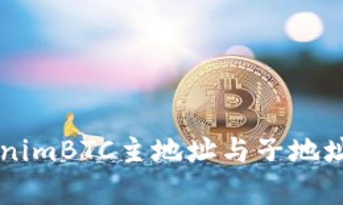 深入解析TokenimBTC主地址与子地址的区别与应用