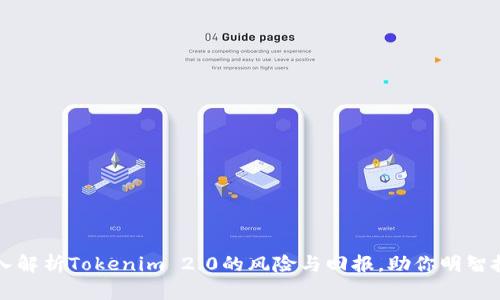 深入解析Tokenim 2.0的风险与回报，助你明智投资