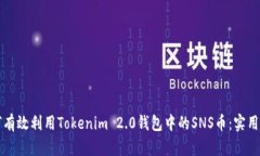 如何有效利用Tokenim 2.0钱包中的SNS币：实用指南