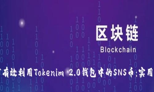 如何有效利用Tokenim 2.0钱包中的SNS币：实用指南
