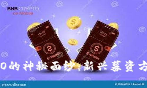 揭开区块链IDO的神秘面纱：新兴募资方式的全景分析