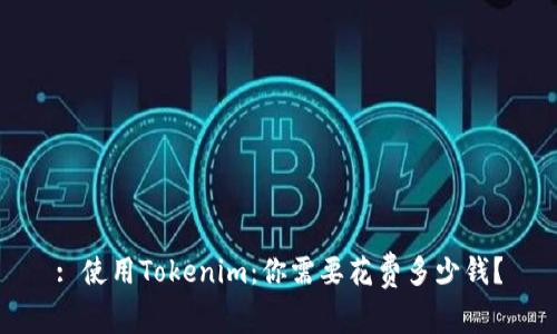 : 使用Tokenim：你需要花费多少钱？