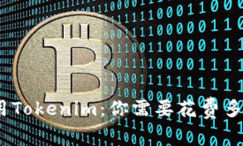 : 使用Tokenim：你需要花费多少钱？