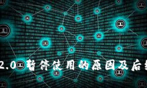 Tokenim 2.0 暂停使用的原因及后续影响解析