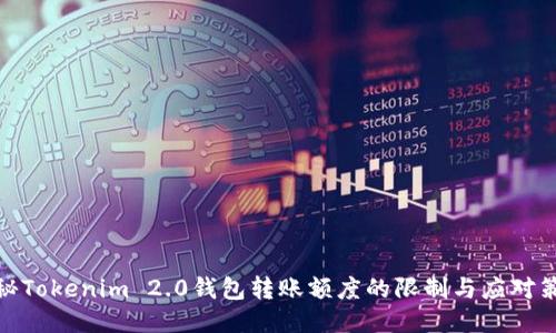 探秘Tokenim 2.0钱包转账额度的限制与应对策略
