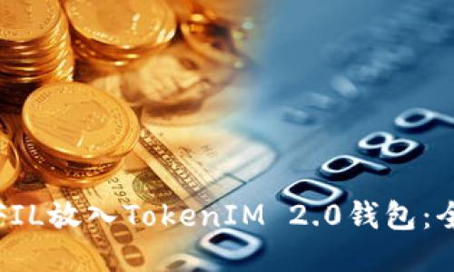 如何将FIL放入TokenIM 2.0钱包：全面指南