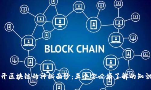 揭开区块链的神秘面纱：五个你必须了解的知识点