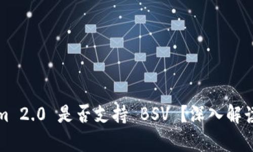 Tokenim 2.0 是否支持 BSV ？深入解读与分析