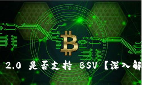 Tokenim 2.0 是否支持 BSV ？深入解读与分析