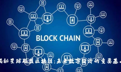 揭秘星球联盟区块链：未来数字经济的重要基石