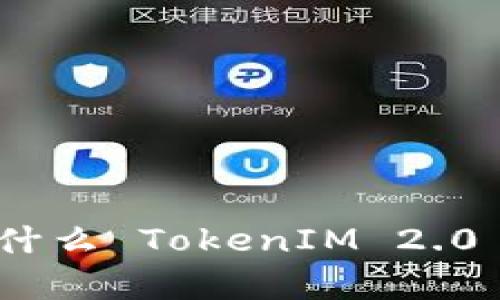 深入解析：为什么 TokenIM 2.0 不显示价格？