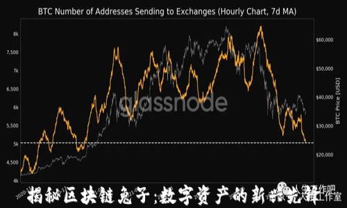
揭秘区块链兔子：数字资产的新兴先锋