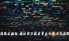 海豚区块链：揭秘新兴技术背后的潜力与应用