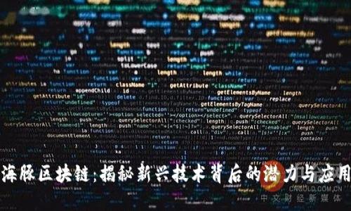 海豚区块链：揭秘新兴技术背后的潜力与应用