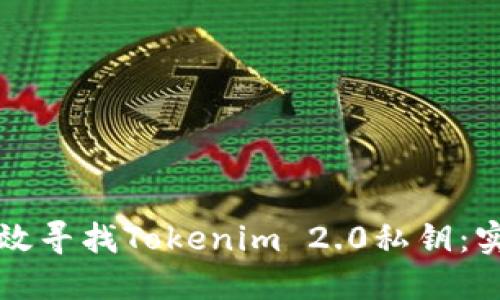 如何高效寻找Tokenim 2.0私钥：实用指南
