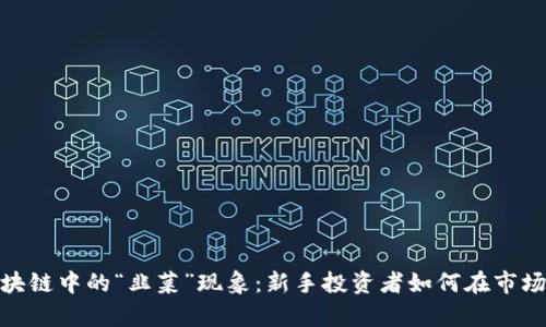 探索区块链中的“韭菜”现象：新手投资者如何在市场中生存