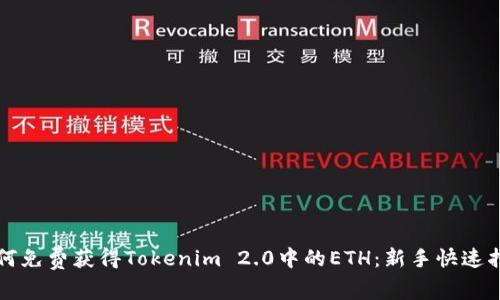 如何免费获得Tokenim 2.0中的ETH：新手快速指南