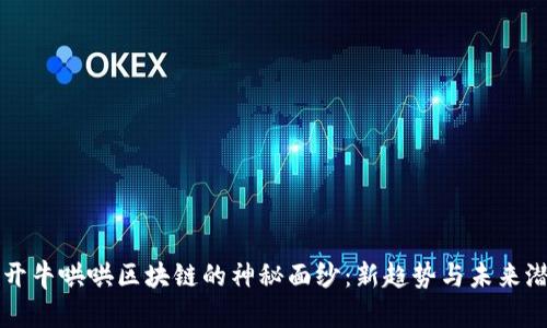 揭开牛哄哄区块链的神秘面纱：新趋势与未来潜力