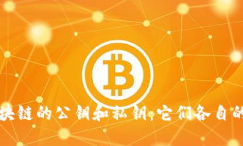 深入探讨区块链的公钥和私钥：它们各自的角色和功能