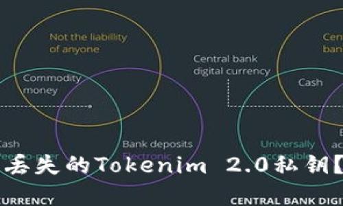 如何找回丢失的Tokenim 2.0私钥？完整指南