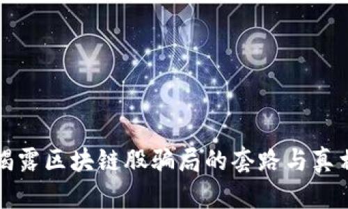 揭露区块链股骗局的套路与真相