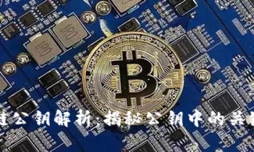 区块链公钥解析：揭秘公钥中的关键信息