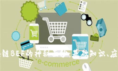 揭开区块链BEF的神秘面纱：基础知识、应用与前景