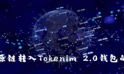 轻松将比原链转入Tokenim 2.0钱包的完整指南