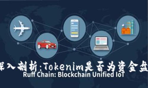 深入剖析：Tokenim是否为资金盘？