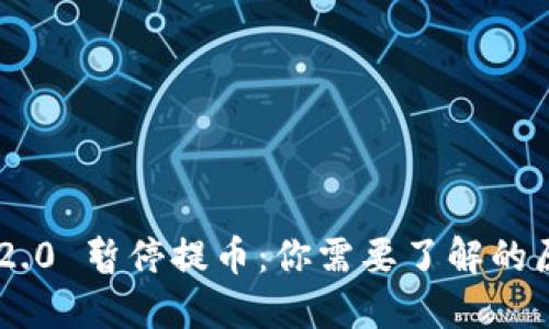 Tokenim 2.0 暂停提币：你需要了解的原因与影响