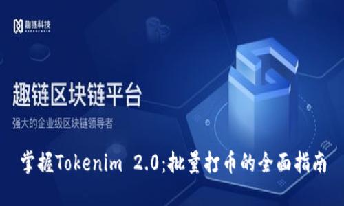 掌握Tokenim 2.0：批量打币的全面指南