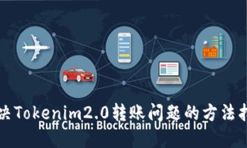 解决Tokenim2.0转账问题的方法指南