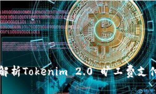 深入解析Tokenim 2.0 旷工费支付明细