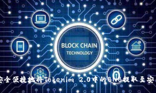 如何安全便捷地将Tokenim 2.0中的BNB提取至安币平台