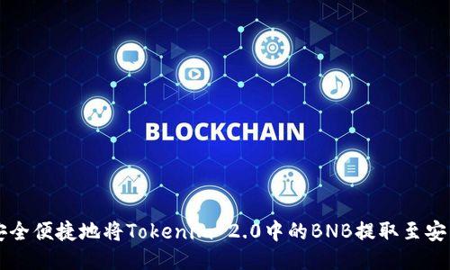 如何安全便捷地将Tokenim 2.0中的BNB提取至安币平台