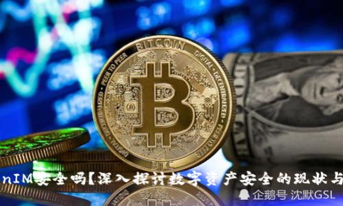 TokenIM安全吗？深入探讨数字资产安全的现状与对策