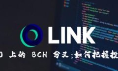 探索 Tokenim 2.0 上的 BCH 分叉：如何把握投资机会