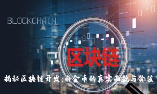 揭秘区块链开发：白金币的真实面貌与价值