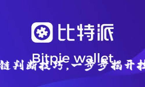 掌握区块链判断技巧，一步步揭开技术的秘密