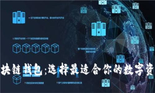 探秘主流区块链钱包：选择最适合你的数字资产管理方案