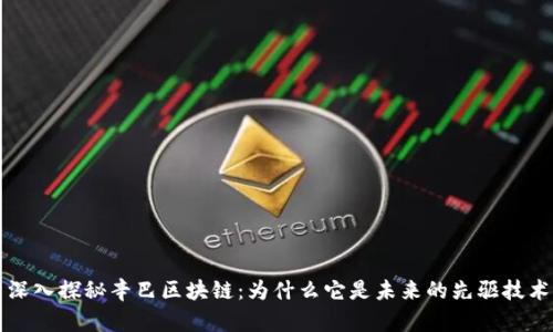 深入探秘辛巴区块链：为什么它是未来的先驱技术