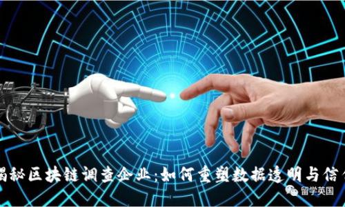 揭秘区块链调查企业：如何重塑数据透明与信任