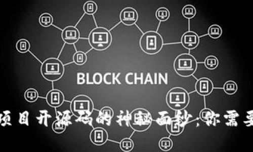 揭开区块链项目开源码的神秘面纱：你需要知道的一切