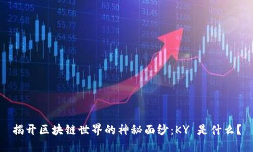 揭开区块链世界的神秘面纱：KY 是什么？