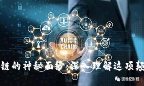 揭开区块链的神秘面纱：深入理解这项颠覆性技术